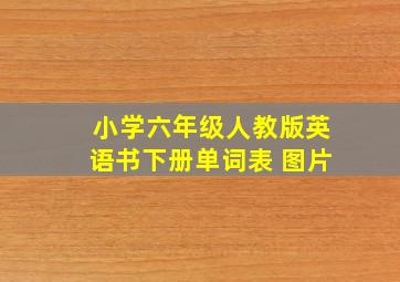 小学六年级人教版英语书下册单词表 图片